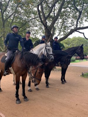 Policjanci dosiadający cztery konie stojące w szeregu.
