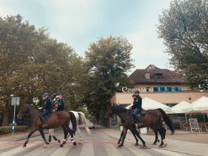 Cztery policyjne konie wraz z jeźdźcami przechodzą przez przejście dla pieszych.