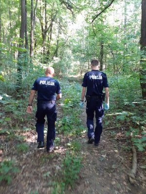dwóch umundurowanych policjantów prowadzących poszukiwania w lesie