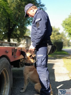 policjant z psem w trakcie szkolenia