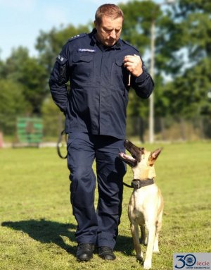 policjant z psem w trakcie szkolenia