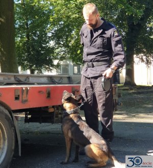 policjant z psem w trakcie szkolenia