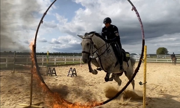 policjant na koniu służbowym przeskakuje przez płonącą obręcz