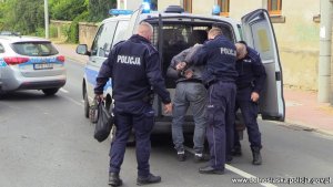 Trzech umundurowanych policjantów wprowadza mężczyznę, który ma założone kajdanki na ręce trzymane z tyłu, do radiowozu typu bus. W tle stoi drugi oznakowany radiowóz.