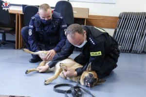 Dwóch policjantów i pies służbowy.