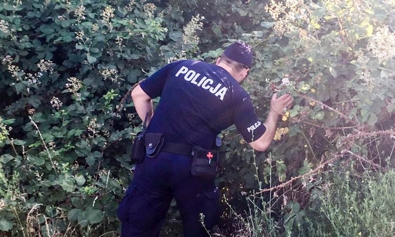 policjant przeszukujący zarośla