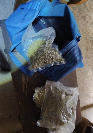 Susz marihuany w workach foliowych, znajdujący się na torbie podróżnej oraz obok niej