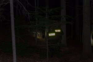 Policjanci w porze nocnej w kompleksie leśnym w trakcie poszukiwań zaginionego