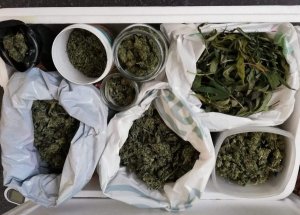 zabezpieczona marihuana i susz konopi w foliowych woreczkach, plastikowych pudełkach i szklanych słoikach