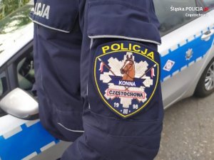 zbliżenie na naszywkę naramienną z napisem policja konna