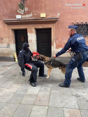 Na zdjęciu widać st. sierż. Kamila Kubicę, który trzyma na smyczy psa patrolowo-tropiącego. Pies atakuje mężczyznę ubranego w kominiarkę