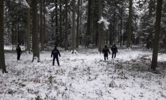 policjanci prowadzący poszukiwania w lesie