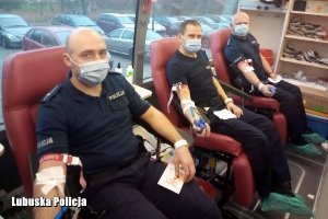 trzej policjanci podczas oddawania krwi