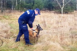 Policjant wraz z psem tropiącym