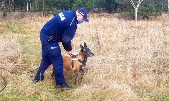 Policjant wraz z psem tropiącym