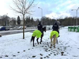 dwaj policjanci na koniach podczas patrolu