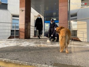 pies jest karmiony przez policjanta na schodach przed wejściem głównym. W tle stoi podinspektor Grażyna Dudek - zastępca Komendanta Miejskiego Policji w Czestochowie