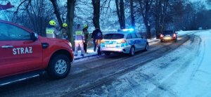 pojazdy policji i ochotniczej straży pożarnej na poboczu drogi przy zbiorniku wodnym