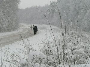 Poszukiwania przez policjantów i strażaków zaginionej kobiety w lesie