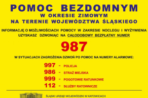 Grafika przedstawia numery alarmowe do służb
997-policja
986- straż miejska 
999- pogotowie ratunkowe 
112- służby ratownicze 
987- numer na infolinię w zakresie wyżywienia i noclegów dla osób bezdomnych