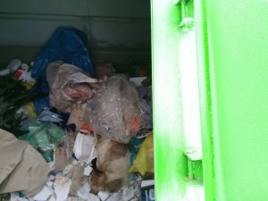 kontener na śmieci, gdzie znaleziono psy