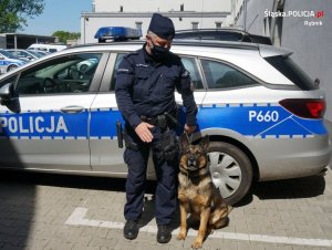 policjant z psem przy radiowozie