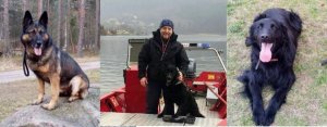 kolaż trzech zdjęć: na dwóch zdjęciach psy, na jednym środkowym policjant z psem policyjnym na łodzi