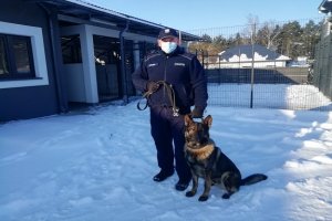 Na zdjęciu umundurowany funkcjonariusz Policji, trzymający na smyczy psa służbowego. W tle ogrodzenie, budynki, drzewa