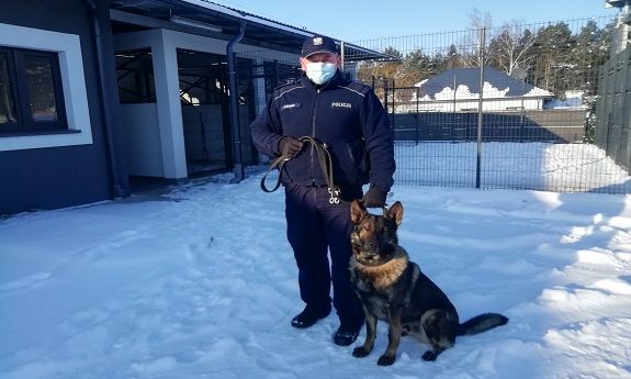 Na zdjęciu umundurowany funkcjonariusz Policji, trzymający na smyczy psa służbowego. W tle ogrodzenie, budynki, drzewa