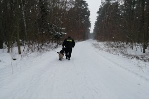 Na zdjęciu umundurowany funkcjonariusz policji, trzymający na smyczy psa służbowego. W tle drzewa