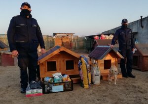 Na podwórku stoją dwie budy drewniane obok poukładane są puszki i worki z karmą dla psów. Po bokach budy stoi policjant i policjantka w umundurowaniu służbowym.&quot;&gt;