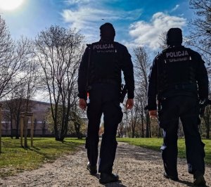 Policjanci patrolujący park, widok z tyłu