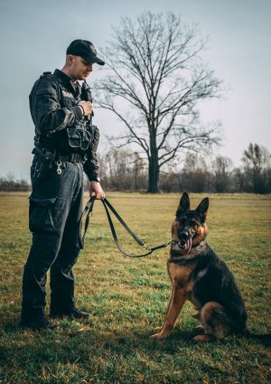 umundurowany policjant z psem służbowym