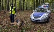 policjant z psem służbowym obok radiowozu w terenie leśnym