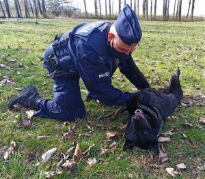 zdjęcie przedstawia policjanta z psem służbowym. Czarny owczarek niemiecki leży obok swojego przewodnika.