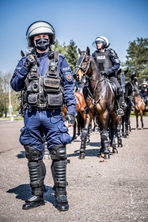 Policjanci na koniach podczas atestacji&quot;&gt;