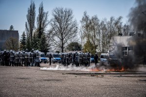 Policjanci na koniach podczas atestacji&quot;&gt;