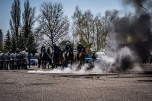 Policjanci na koniach podczas atestacji&quot;&gt;