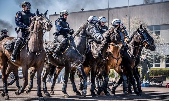 Policjanci na koniach podczas atestacji&quot;&gt;