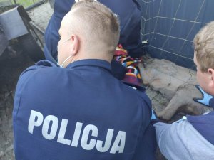 policjant nachylający się nad sarną&quot;&gt;