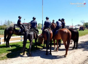 policjanci na koniach stoją ustawieni po okręgu&quot;&gt;