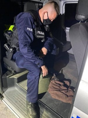 Umundurowany policjant  siedzi w radiowozie i pochyla się nad młodą sarenką