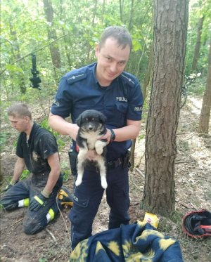 Policjant w rękach trzyma jednego z uratowanych szczeniaków, na drugim planie widoczny strażak przy lisiej norze
