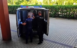 umundurowani policjanci prowadzą zatrzymaną kobietę do policyjnego radiowozu