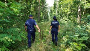 umundurowani policjanci idący przez las - widok z tyłu