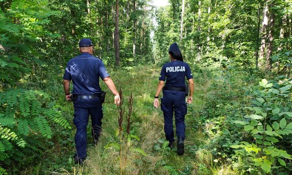 umundurowani policjanci idący przez las - widok z tyłu