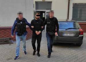 Dwóch policjantów prowadzi zatrzymanego mężczyznę. Na rękach trzymanych z przodu ma założone kajdanki.