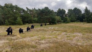 ćwiczenia: rozstawieni w terenie policjanci klęczą na jednym kolanie, w rekach trzymają broń