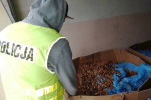 pomieszczenie z linią do produkcji papierosów, policjant w żółtej kamizelce zabezpiecza pudło kartonowe z tytoniem