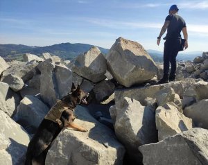 mężczyzna stojący na skałkach i policyjny pies, który wspina się w jego stronę